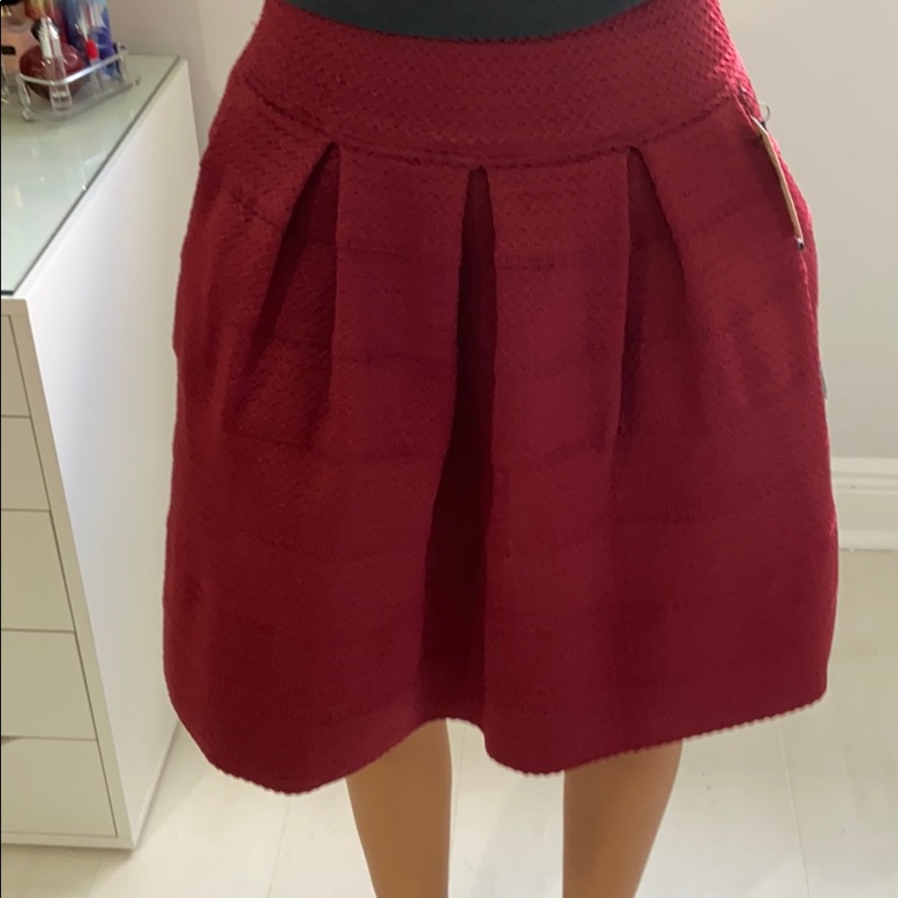Burgundy Circle Skirt